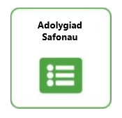 Adolygiad Safonau